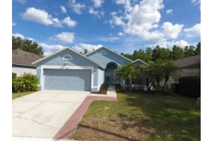 19310 WEEDON COURT, LAND O LAKES, FL 34638 - MLS#MFRTB8516294