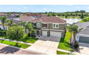 7109 Bay Laurel, WESLEY CHAPEL 7109 Bay Laurel, WESLEY CHAPEL