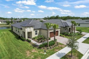 10852 IBIS BROOK COURT, LAND O LAKES, FL 34638 - MLS#MFRTB8516318