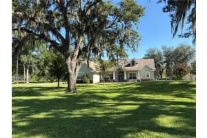 6913 COLLEY ROAD, ODESSA, FL 33556 - MLS#MFRTB8516381