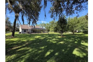 6913 COLLEY ROAD, ODESSA, FL 33556 - MLS#MFRTB8516381