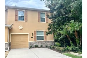 , TAMPA , TAMPA