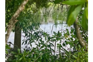 MLS# MFRTB8516393, Tampa, Florida 33637