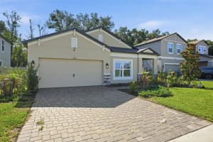 11996 HILLTOP FARMS DRIVE, DADE CITY, FL 33525 - MLS#MFRTB8516414