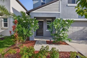 9909 CALYPSO ORCHID COURT, RIVERVIEW, FL 33578 - MLS#MFRTB8516426