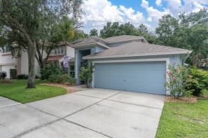 10232 WOODFORD BRIDGE STREET, TAMPA, FL 33626 - MLS#MFRTB8516436