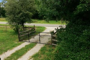 7309 QUAIL MEADOW ROAD, PLANT CITY, FL 33565 - MLS#MFRTB8516475