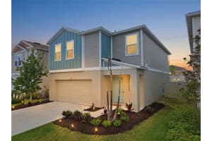 12950 Pasture Woods Pl, LITHIA 12950 Pasture Woods Pl, LITHIA
