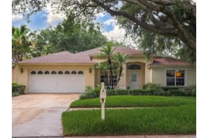 10110 WHISPER POINTE DRIVE, TAMPA, FL 33647 - MLS#MFRTB8516510