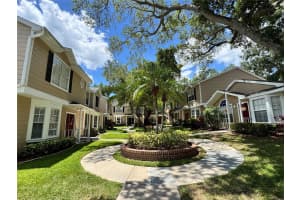 2452 BUSH TAIL COURT, PALM HARBOR, FL 34683 - MLS#MFRTB8516538