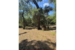 4405 COCONUT COVE PLACE, VALRICO, FL 33596 - MLS#MFRTB8516566