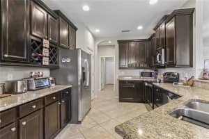 29255 GRASS BUNKER DRIVE, SAN ANTONIO, FL 33576 - MLS#MFRTB8516621
