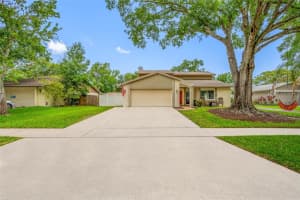 15816 Hound Horn Ln, TAMPA
