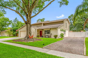 15816 HOUND HORN LANE, TAMPA, FL 33624 - MLS#MFRTB8516623