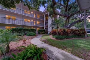 860 Virginia St #211, DUNEDIN 860 Virginia St #211, DUNEDIN