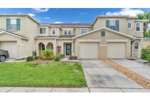 2523 WHITE SAND LANE, CLEARWATER, FL 33763 - MLS#MFRTB8516663