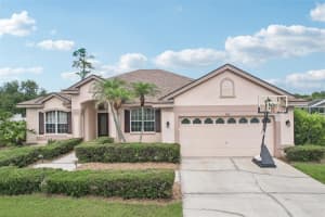 1008 ROBINWOOD DRIVE, OLDSMAR, FL 34677 - MLS#MFRTB8516701