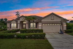 1008 ROBINWOOD DRIVE, OLDSMAR, FL 34677 - MLS#MFRTB8516701