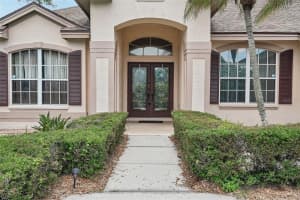 1008 ROBINWOOD DRIVE, OLDSMAR, FL 34677 - MLS#MFRTB8516701