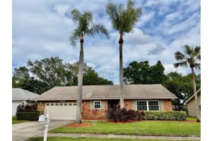 999 GILLESPIE DRIVE, PALM HARBOR, FL 34684 - MLS#MFRTB8516714