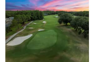 5562 AVENUE DU SOLEIL, LUTZ, FL 33558 - MLS#MFRTB8516762