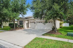 20057 OAKFLOWER AVENUE, TAMPA, FL 33647 - MLS#MFRTB8516780