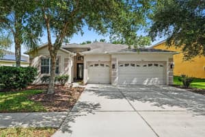 20057 OAKFLOWER AVENUE, TAMPA, FL 33647 - MLS#MFRTB8516780