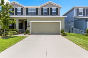 7878 GREENWAY AVENUE, WESLEY CHAPEL, FL 33544 - MLS#MFRTB8516797