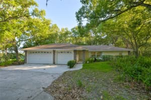 36625 LAKE PASADENA ROAD, DADE CITY, FL 33525 - MLS#MFRTB8516851
