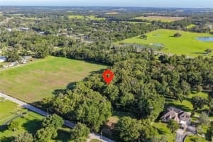36625 LAKE PASADENA ROAD, DADE CITY, FL 33525 - MLS#MFRTB8516851