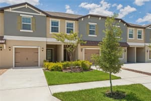 10989 WISHING CLOUD ROAD, LAND O LAKES, FL 34638 - MLS#MFRTB8516992