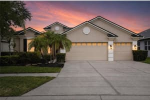 2753 BLUESLATE COURT, LAND O LAKES, FL 34638 - MLS#MFRTB8516999