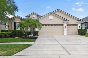 2753 BLUESLATE COURT, LAND O LAKES, FL 34638 - MLS#MFRTB8516999