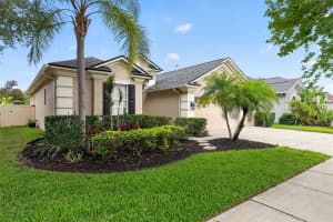 2753 BLUESLATE COURT, LAND O LAKES, FL 34638 - MLS#MFRTB8516999