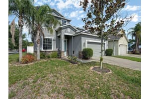 12302 HOLMWOOD GREENS PLACE, RIVERVIEW, FL 33579 - MLS#MFRTB8517008