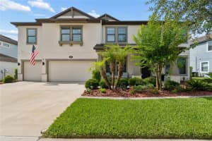 10623 MISTFLOWER LANE, TAMPA, FL 33647 - MLS#MFRTB8517049