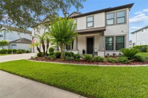 10623 MISTFLOWER LANE, TAMPA, FL 33647 - MLS#MFRTB8517049