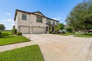 10623 MISTFLOWER LANE, TAMPA, FL 33647 - MLS#MFRTB8517049