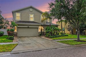 10511 Avian Forrest Dr, RIVERVIEW 10511 Avian Forrest Dr, RIVERVIEW