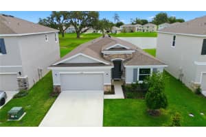 11316 SPOONBILL FLOCK WAY, SAN ANTONIO, FL 33576 - MLS#MFRTB8517214