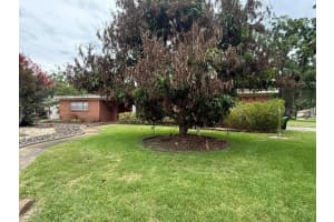 605 COURTNEY DRIVE, TAMPA, FL 33617 - MLS#MFRTB8517226