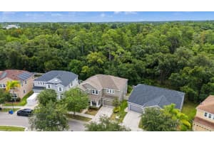 6944 ROCKY CANYON WAY, TAMPA, FL 33625 - MLS#MFRTB8517249