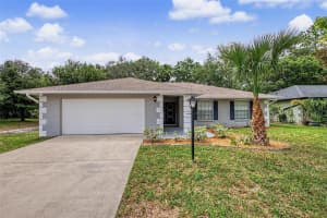 28353 TANGLEWOOD DRIVE, WESLEY CHAPEL, FL 33543 - MLS#MFRTB8517261