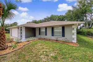 28353 TANGLEWOOD DRIVE, WESLEY CHAPEL, FL 33543 - MLS#MFRTB8517261