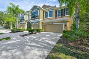 12646 Silverdale St, TAMPA 12646 Silverdale St, TAMPA