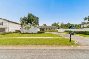 4009 MOUNTAIN SPRINGS LANE, TAMPA, FL 33624 - MLS#MFRTB8517291