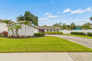 4009 MOUNTAIN SPRINGS LANE, TAMPA, FL 33624 - MLS#MFRTB8517291