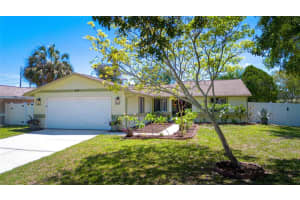 629 Bay Lake Trl, OLDSMAR 629 Bay Lake Trl, OLDSMAR