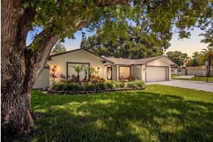 3046 OAK COVE DRIVE, CLEARWATER, FL 33759 - MLS#MFRTB8517326