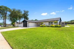 16206 COURSE DRIVE, TAMPA, FL 33624 - MLS#MFRTB8517337